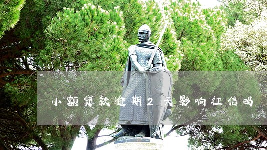 小额贷款逾期2天影响征信吗 小额贷款逾期2天影响征信吗
