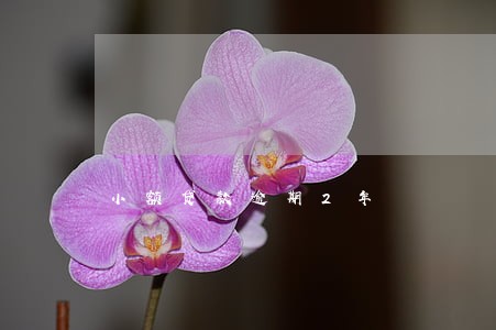 小额贷款逾期2年 小额贷款逾期2年