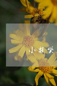 小额贷款逾期3个月和6个月 小额贷款逾期3个月和6个月