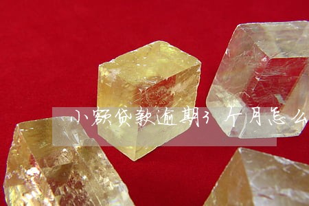 小额贷款逾期3个月怎么办 小额贷款逾期3个月怎么办