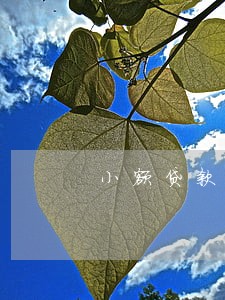 小额贷款逾期3个月能房贷吗 小额贷款逾期3个月能房贷吗