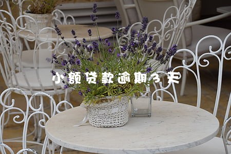 小额贷款逾期3天 小额贷款逾期3天