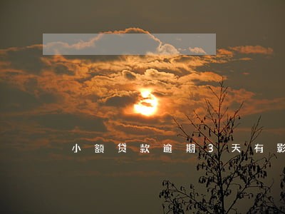 小额贷款逾期3天有影响吗 小额贷款逾期3天有影响吗
