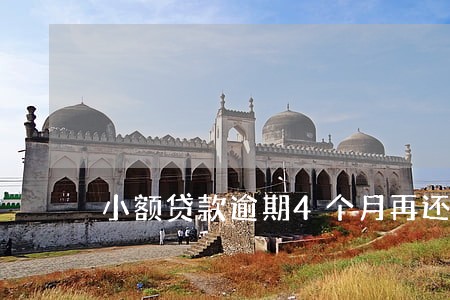 小额贷款逾期4个月再还 小额贷款逾期4个月再还