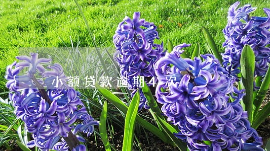 小额贷款逾期4次 小额贷款逾期4次