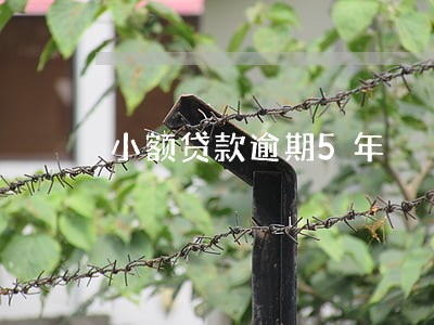 小额贷款逾期5年 小额贷款逾期5年
