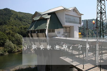 小额贷款逾期6个月 小额贷款逾期6个月