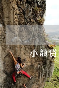 小额贷款逾期7天会怎样 小额贷款逾期7天会怎样