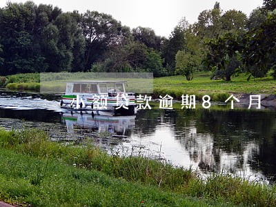 小额贷款逾期8个月 小额贷款逾期8个月