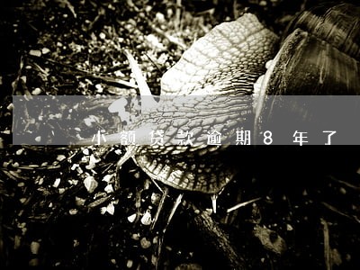 小额贷款逾期8年了 小额贷款逾期8年了