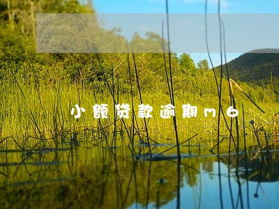 小额贷款逾期m6 小额贷款逾期m6