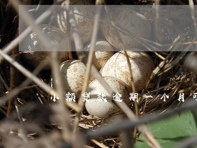 小额贷款逾期一个月可以吗 小额贷款逾期一个月可以吗