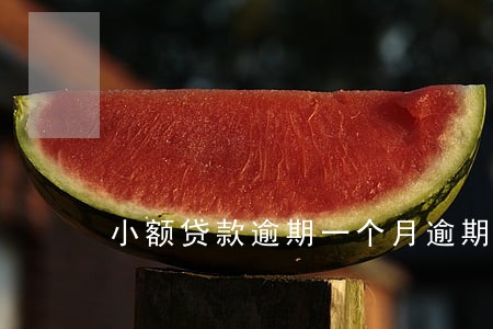 小额贷款逾期一个月逾期费用 小额贷款逾期一个月逾期费用