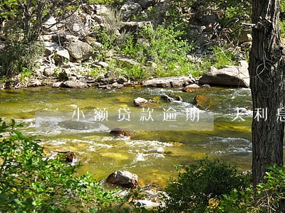 小额贷款逾期一天利息 小额贷款逾期一天利息