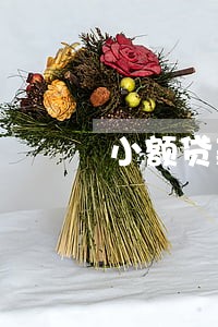 小额贷款逾期一直发短信 小额贷款逾期一直发短信
