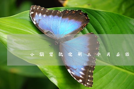 小额贷款逾期三个月后话术 小额贷款逾期三个月后话术