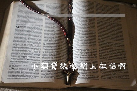 小额贷款逾期上征信啊 小额贷款逾期上征信啊