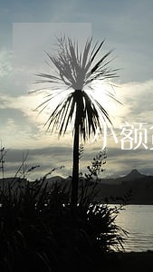 小额贷款逾期不还侮辱信息 小额贷款逾期不还侮辱信息