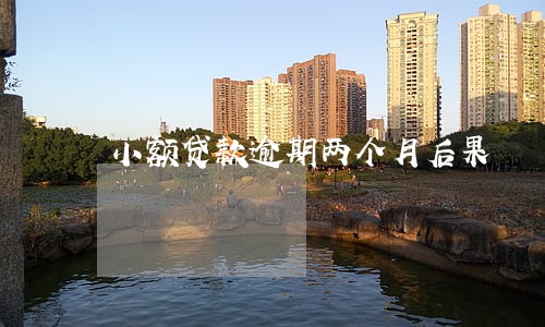 小额贷款逾期两个月后果 小额贷款逾期两个月后果