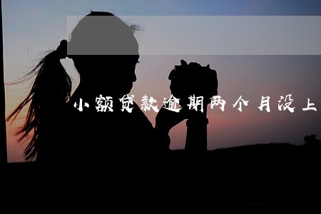 小额贷款逾期两个月没上征信 小额贷款逾期两个月没上征信