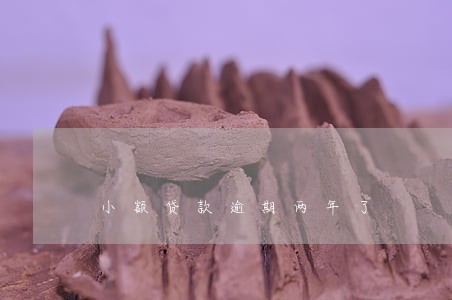 小额贷款逾期两年了 小额贷款逾期两年了
