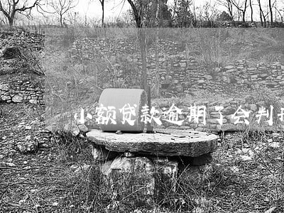 小额贷款逾期了会判刑吗 小额贷款逾期了会判刑吗