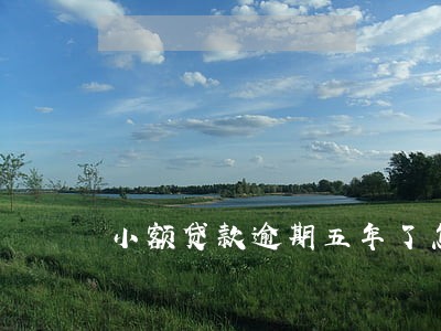 小额贷款逾期五年了怎么办 小额贷款逾期五年了怎么办