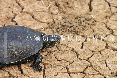 小额贷款逾期以后程序是啥 小额贷款逾期以后程序是啥