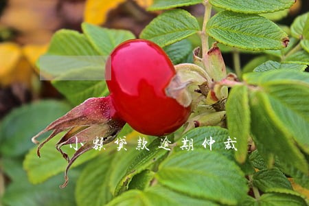 小额贷款逾期仲裁 小额贷款逾期仲裁