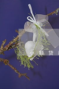 小额贷款逾期会停了信用卡吗 小额贷款逾期会停了信用卡吗