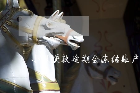 小额贷款逾期会冻结账户吗 小额贷款逾期会冻结账户吗
