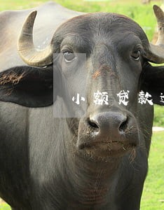 小额贷款逾期会冻结银行卡 小额贷款逾期会冻结银行卡