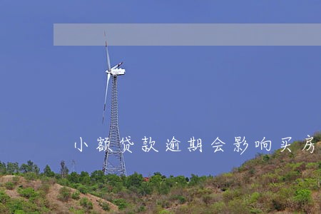 小额贷款逾期会影响买房贷款 小额贷款逾期会影响买房贷款