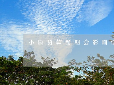 小额贷款逾期会影响信用卡 小额贷款逾期会影响信用卡