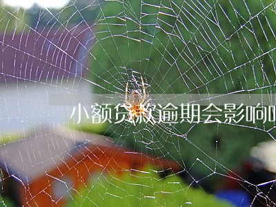 小额贷款逾期会影响吗 小额贷款逾期会影响吗
