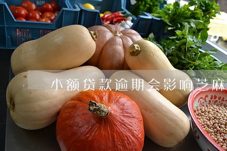 小额贷款逾期会影响芝麻信用么 小额贷款逾期会影响芝麻信用么