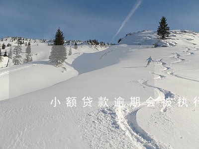 小额贷款逾期会被执行 小额贷款逾期会被执行