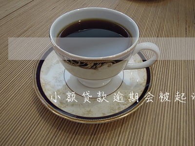 小额贷款逾期会被起诉么 小额贷款逾期会被起诉么