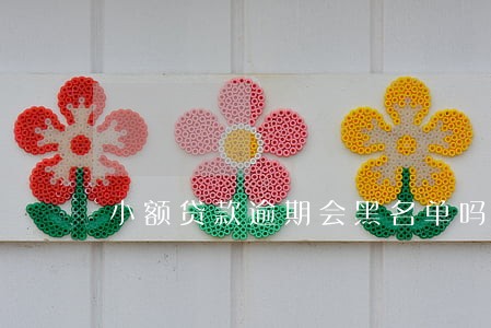 小额贷款逾期会黑名单吗 小额贷款逾期会黑名单吗