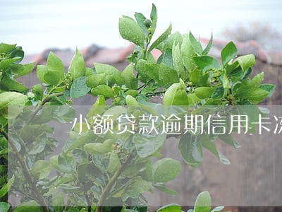 小额贷款逾期信用卡冻结了 小额贷款逾期信用卡冻结了