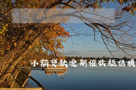 小额贷款逾期催收短信模板