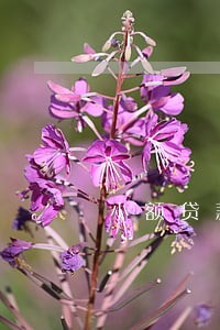 小额贷款逾期催还多长时间 小额贷款逾期催还多长时间