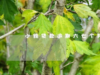 小额贷款逾期六七个月