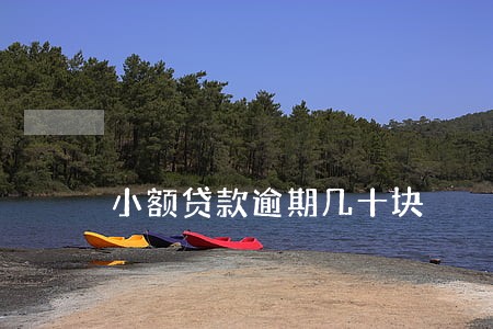 小额贷款逾期几十块 小额贷款逾期几十块