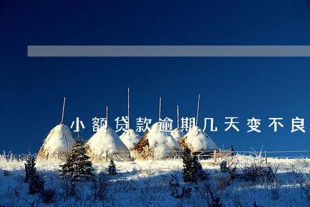 小额贷款逾期几天变不良 小额贷款逾期几天变不良