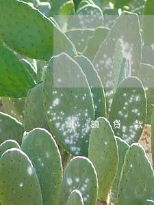 小额贷款逾期利息怎么算的 小额贷款逾期利息怎么算的