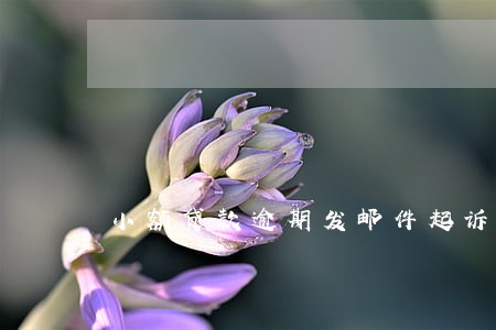 小额贷款逾期发邮件起诉 小额贷款逾期发邮件起诉