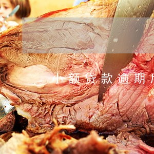 小额贷款逾期后失联 小额贷款逾期后失联