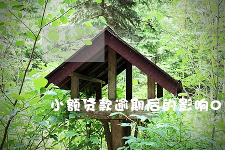 小额贷款逾期后的影响0 小额贷款逾期后的影响0