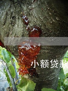 小额贷款逾期后要怎么还 小额贷款逾期后要怎么还
